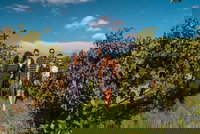 Barossa Valley Private Tour from 2 to 11 people, Adelaide