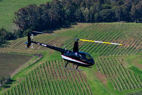 Hunter Valley Wine Country Helicopter Flight From Cessnock - Accommodation China 3