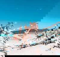 4 Day  3 Night Whitsunday Islands  Outer Reef Sailing Adventure on Condor - Accommodation Guide