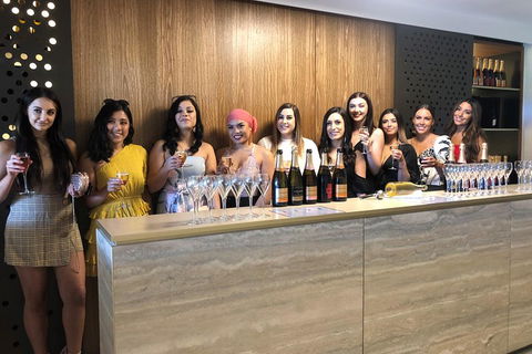 Yarra Valley Public Winery Tours - Accommodation Asia 0