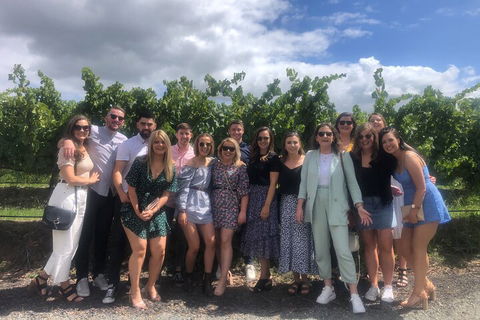 Yarra Valley Public Winery Tours - Accommodation Asia 3