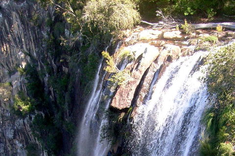 Byron Bay Combo: Hinterland Tour Including Minyon Falls And Kayaking With Dolphins - Accommodation Asia 3