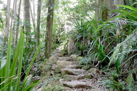 Byron Bay Combo: Hinterland Tour Including Minyon Falls And Kayaking With Dolphins - Accommodation Asia 5