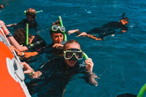 Whitehaven Beach And Hill Inlet Lookout Full-Day Snorkeling Cruise By High-Speed Catamaran - Accommodation Asia 3