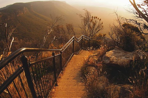 Blue Mountains Vintage Cadillac Tour With Local Guide - Accommodation Asia 3