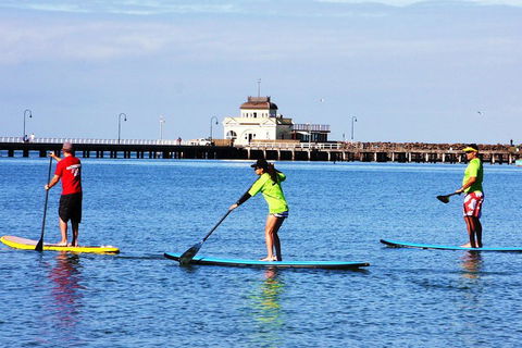 Private Stand-Up Paddle Board Lesson At St Kilda - Accommodation Guide 1