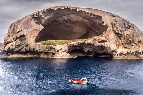 Wilsons Promontory Wilderness Cruise From Tidal River - Accommodation Guide 0