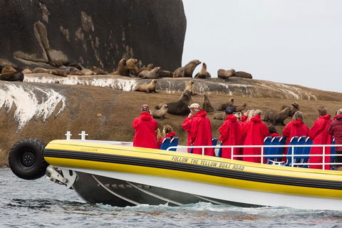 Wilsons Promontory Wilderness Cruise From Tidal River - Accommodation Guide 1