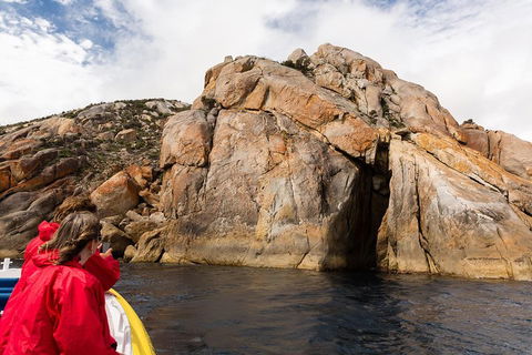 Wilsons Promontory Wilderness Cruise From Tidal River - Accommodation Guide 3