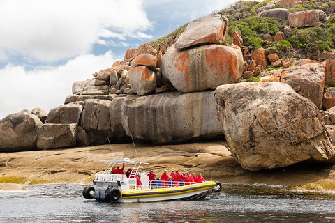 Wilsons Promontory Wilderness Cruise From Tidal River - Accommodation Guide 4