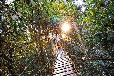 O'Reilly's & Lamington National Park From Brisbane - Accommodation Guide 5