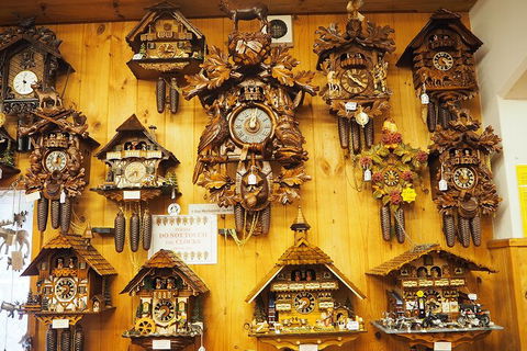 O'Reilly's & Lamington National Park From Gold Coast - Accommodation Asia 5