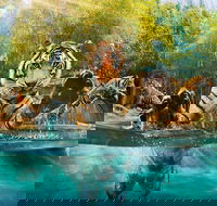 Croc Express to Australia Zoo from Brisbane - Accommodation Guide