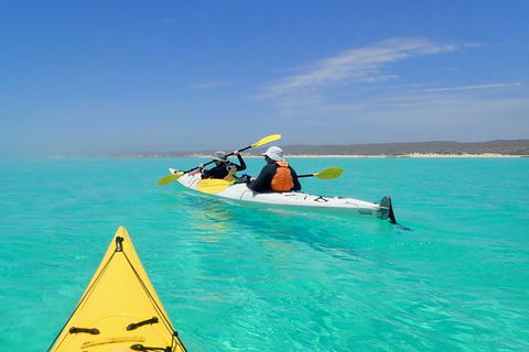 Lagoon Explorer - Ningaloo Reef Full-Day Kayaking And Snorkeling Adventure - Accommodation Guide 0