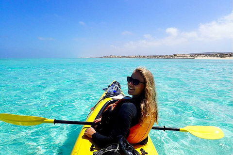 Lagoon Explorer - Ningaloo Reef Full-Day Kayaking And Snorkeling Adventure - Accommodation Guide 1