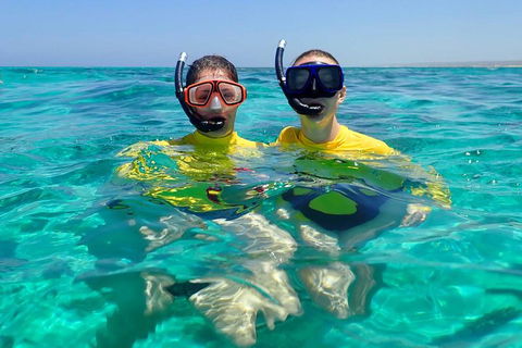 Lagoon Explorer - Ningaloo Reef Full-Day Kayaking And Snorkeling Adventure - Accommodation Guide 4