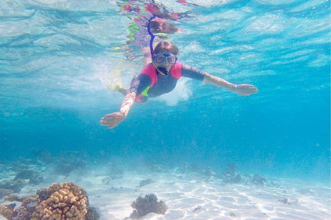 Lagoon Explorer - Ningaloo Reef Full-Day Kayaking And Snorkeling Adventure - Accommodation Guide 5