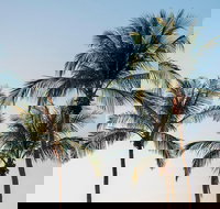 Darwin City Sightseeing Tour - Accommodation China