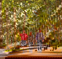 Darwin City Sights and Jumping Crocodile Cruise - Accommodation China