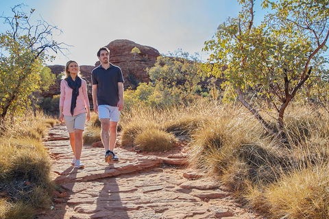 Kings Canyon Day Trip From Ayers Rock (Uluru) - Accommodation Guide 0