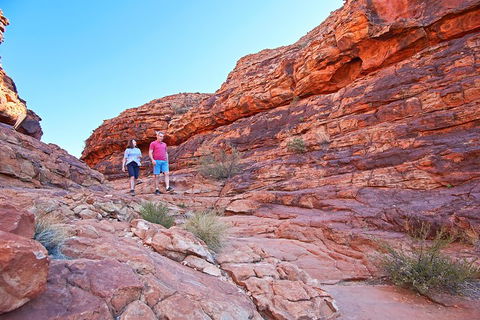 Kings Canyon Day Trip From Ayers Rock (Uluru) - Accommodation Guide 2