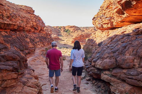 Kings Canyon Day Trip From Ayers Rock (Uluru) - Accommodation Guide 5