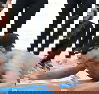 Group Surfing Lessons Kool Katz 1 day - Accommodation Guide