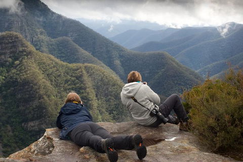 Inside The Greater Blue Mountains World Heritage - A Private Wildlife Safari Overnight - Accommodation China 0