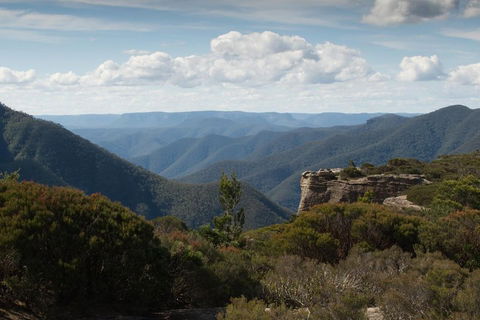 Inside The Greater Blue Mountains World Heritage - A Private Wildlife Safari Overnight - Accommodation China 5