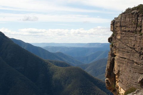 Inside The Greater Blue Mountains World Heritage - A Wildlife Safari Overnight - Accommodation China 4