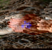 Cape Byron Aboriginal Tour - Accommodation Guide