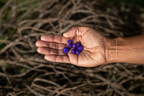 Cape Byron Aboriginal Tour - Accommodation Guide 0