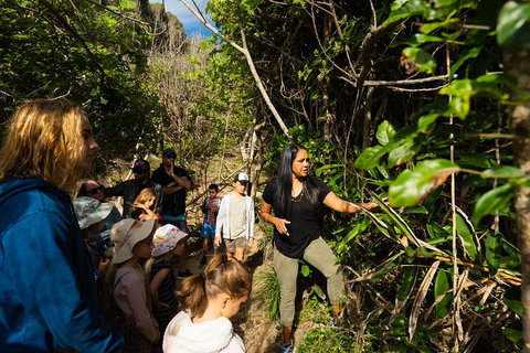 Cape Byron Aboriginal Tour - Accommodation Guide 4