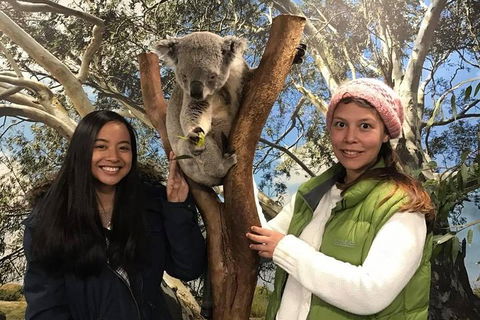 Australia Multi-City Attractions Pass - Accommodation Guide 3