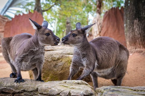 Australia Multi-City Attractions Pass - Accommodation Guide 4