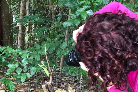 Let's Go Buggin & Let's Go Shroomin - Photography & Nature Walking Tours - Accommodation Guide 1