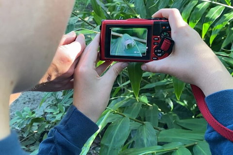 Let's Go Buggin & Let's Go Shroomin - Photography & Nature Walking Tours - Accommodation Guide 2