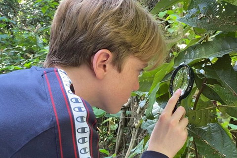 Let's Go Buggin & Let's Go Shroomin - Photography & Nature Walking Tours - Accommodation Guide 3