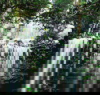 Mt Field National Park and Russell Falls from Hobart - Accommodation China