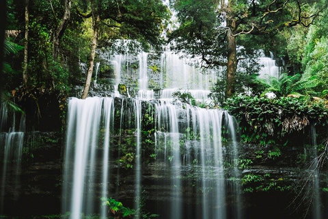 Mt Field National Park And Russell Falls From Hobart - Accommodation Guide 0