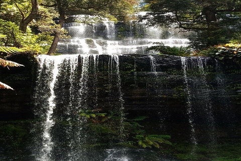 Mt Field National Park And Russell Falls From Hobart - Accommodation Guide 2