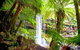 Mt Field National Park And Russell Falls From Hobart - thumb 4