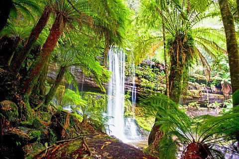 Mt Field National Park And Russell Falls From Hobart - Accommodation Guide 4