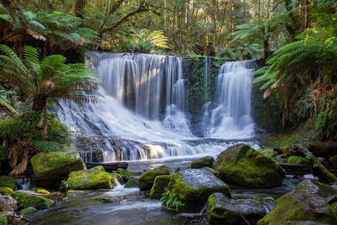 Mt Field National Park And Russell Falls From Hobart - Accommodation Guide 5
