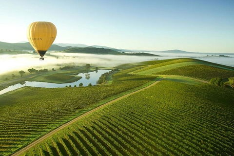 Half-Day Or Full-Day Tour With Private Guide From Melbourne - Accommodation Asia 4