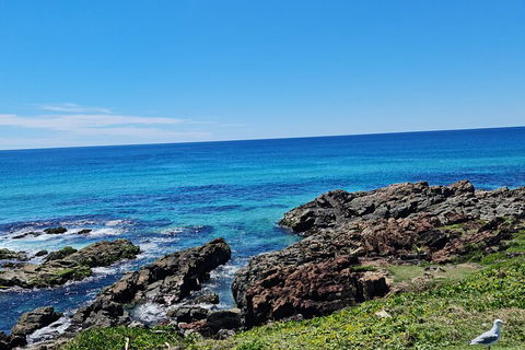 Private Custom Byron Bay Day Out - Accommodation Asia 4