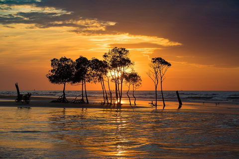 Delightful Darwin Self-Guided Audio Tour - Accommodation Guide 3