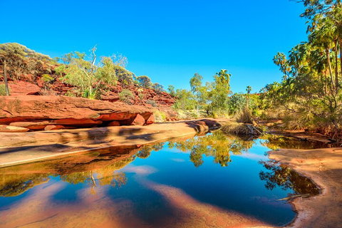 7-Day Guided Tour Of Alice Springs With Accommodation Included - Accommodation Guide 1