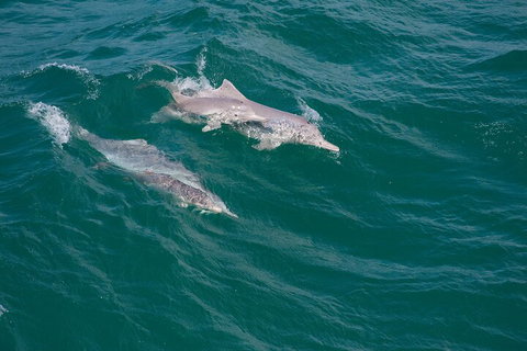 North Stradbroke Island Private Tour With Pickup - Accommodation Asia 0