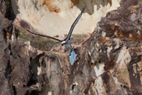 North Stradbroke Island Private Tour With Pickup - Accommodation Asia 2